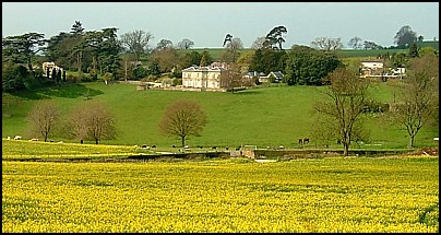 A field of Oil Seed Rape and a very beautiful country residence seen between Stinchcombe Hill and Nibley Knoll.